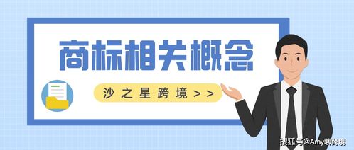 商標(biāo)及其相關(guān)知識解讀