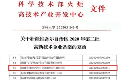 托克遜能化榮獲自治區(qū)第二批高新技術(shù)企業(yè)認(rèn)定，知識產(chǎn)權(quán)服務(wù)助力創(chuàng)新發(fā)展
