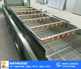 泰安土豆氣泡清洗機 諸城神龍機械的專業供應與代理服務